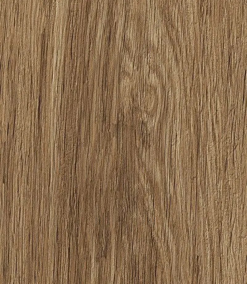 Bosque — Ceusa