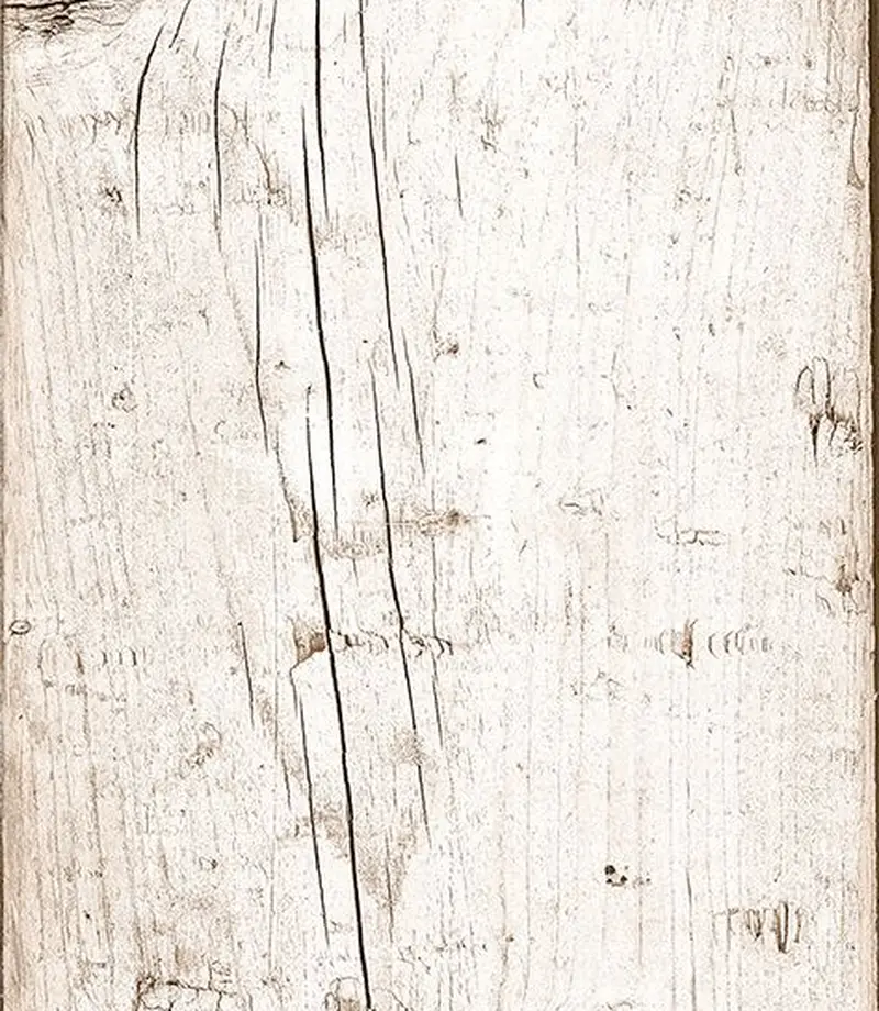 Patina — Ceusa